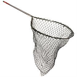 net