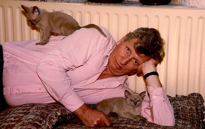 cats_tom_supine_with_kittens