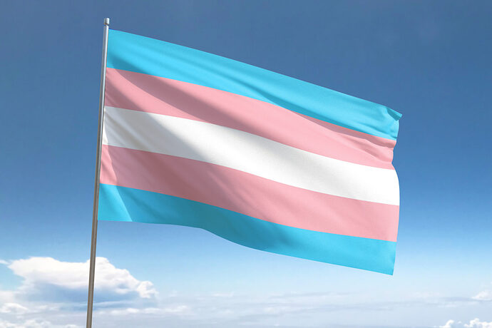 Transgender-pride-flag-scaled