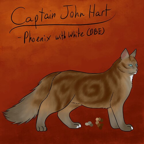 Cat John1