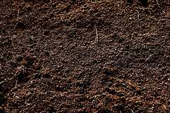 Some Dirt or Soil