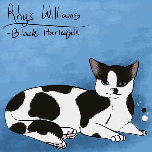 Cat Rhys