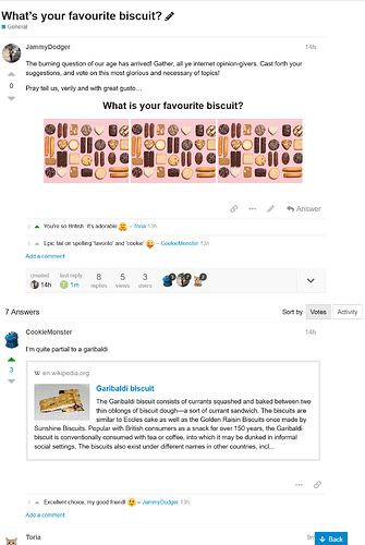 A forum post asks for favourite biscuit opinions, featuring playful British spelling debates and a discussion about Garibaldi biscuits. (Captioned by AI)