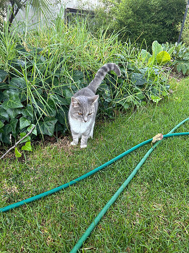 this one was skittish…
