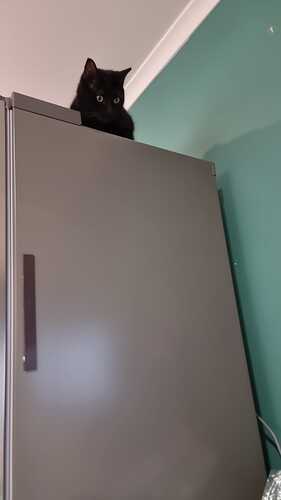 IMG-20250114-WA0001