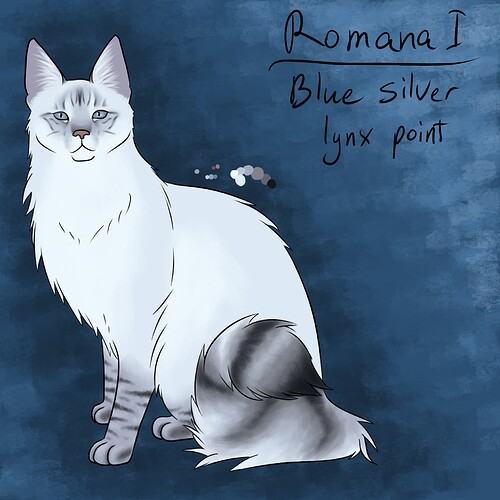 cat romana i