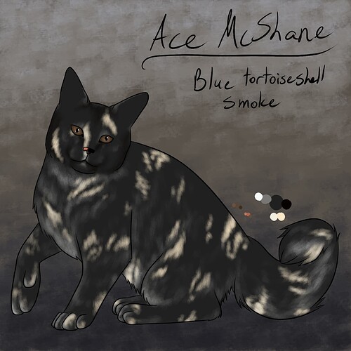 cat ace