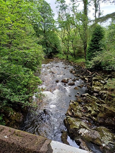 IMG-20250703-WA0004