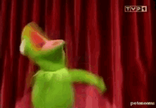kermit-excitement