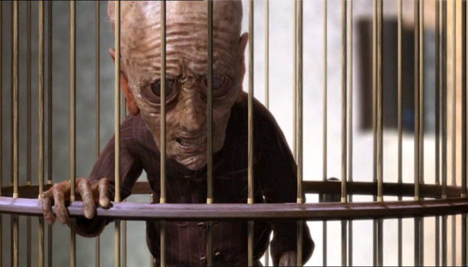 The Dobby Doctor